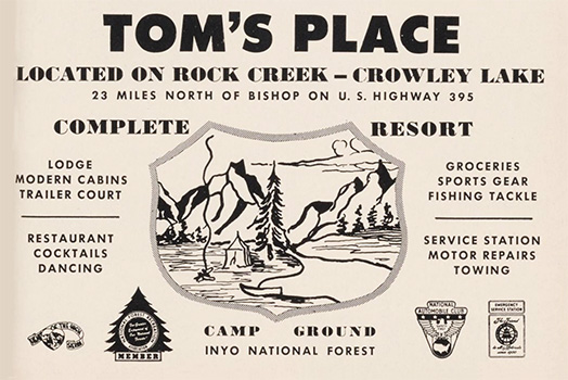 tom's place